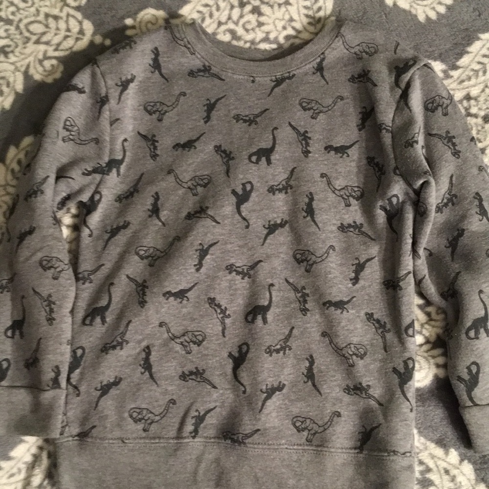 Boy Dino sweatshirt